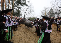 贵州苗族招龙祭祀4.jpg